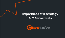 The importance of IT strategy and consultants | Microsolve