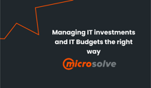 Microsolve - IT Budgets and IT Investment Portfolio Management